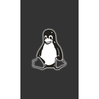 Aplikacja na szybę TUX