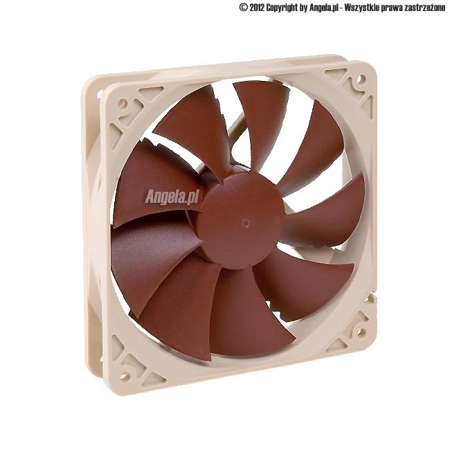 Noctua 120mm NF-P12 PWM :: ..::  ::..