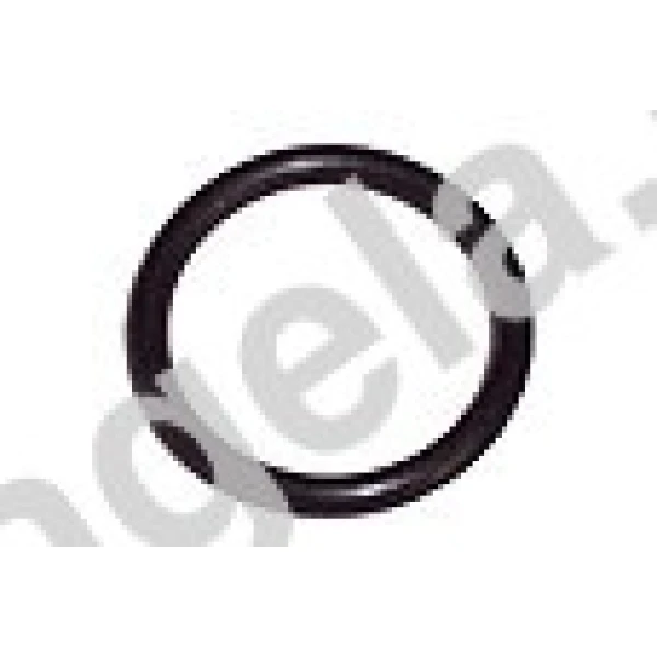 O-Ring 30 x 2mm (Innovatek AGB filling port / Magicool inlet)