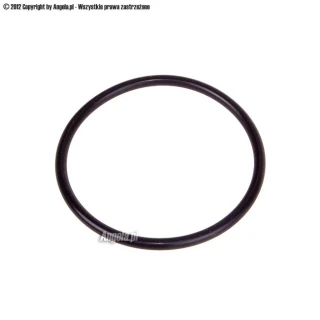 O-ring 40 x 2.5mm (rezerwuary Cape Coolplex, Phobya Balancer)